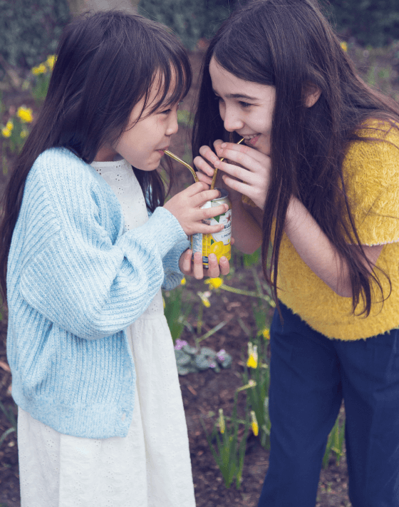 BELLEROSE Image photo